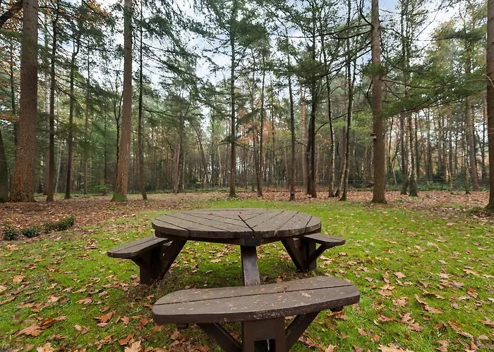 Maupertuus 3* Bennekom